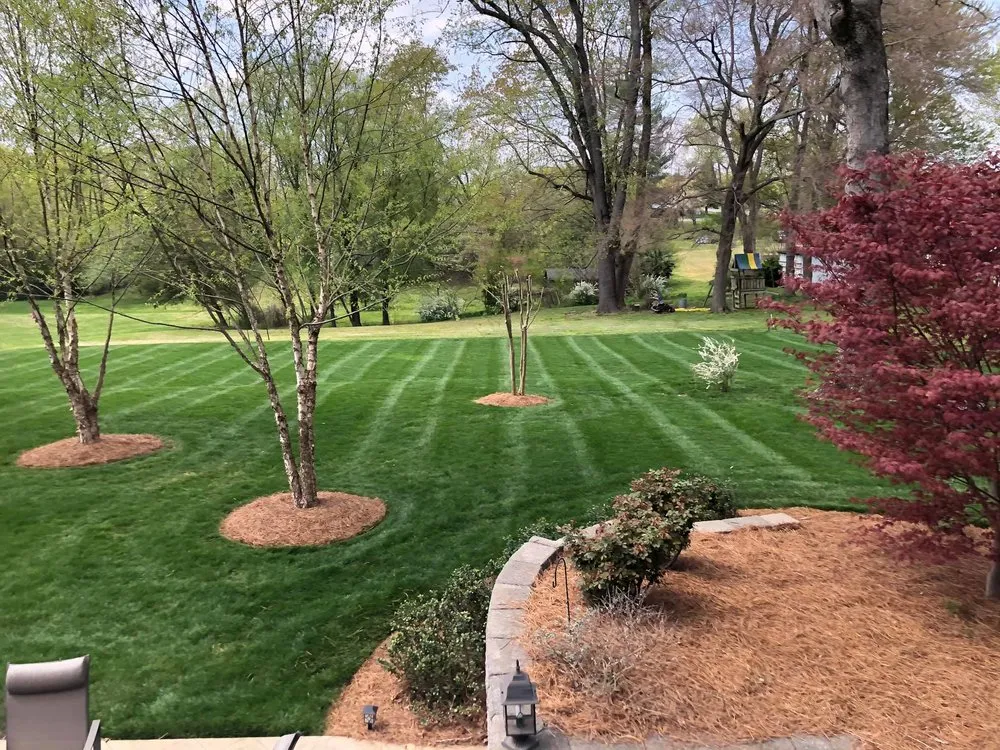Reliable residential landscaping with custom design across Boonville, NC - El Perico Tree Service and Lawn Care