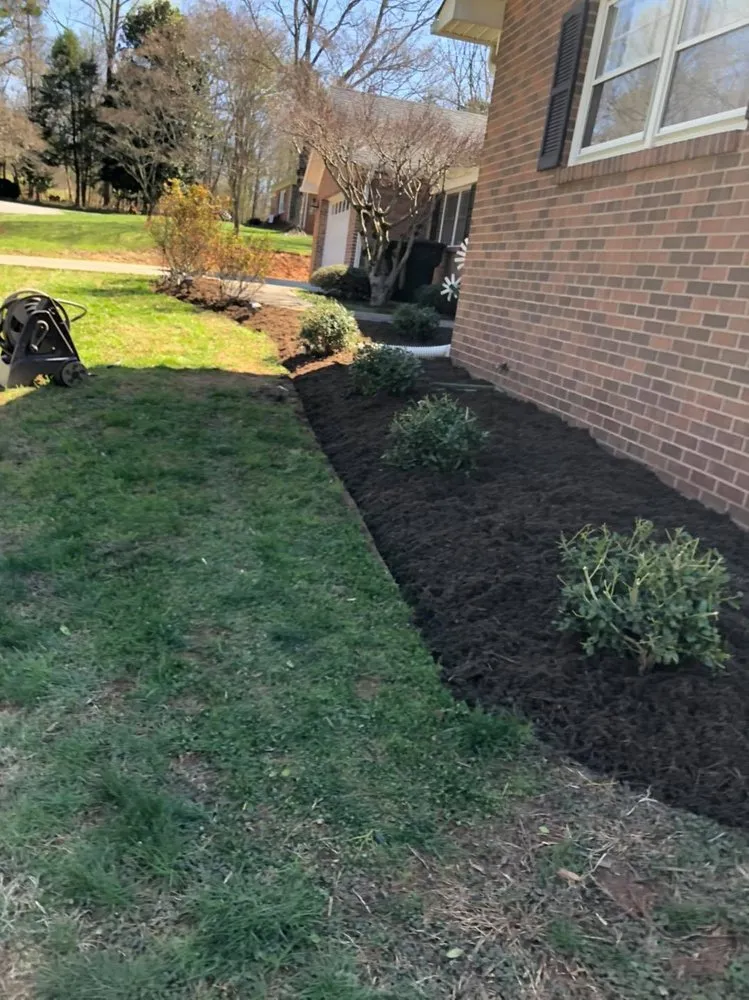 Expert landscape design for homes across Boonville, NC - El Perico Tree Service and Lawn Care