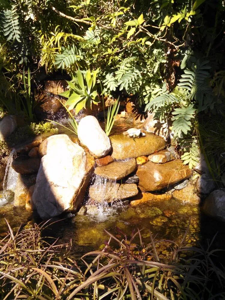 Custom lawn mowing service in Escondido, CA by El Plantio Nursery & Landscaping