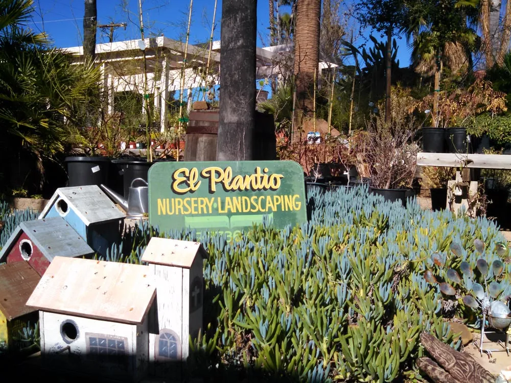 Trusted lawn mowing service for beautiful yards across Escondido, CA - El Plantio Nursery & Landscaping