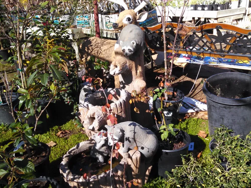 Trusted landscape installation for year-round maintenance in Escondido, CA by El Plantio Nursery & Landscaping