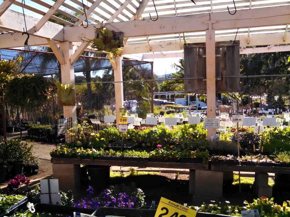 Custom landscaping services for beautiful yards in Escondido, CA by El Plantio Nursery & Landscaping