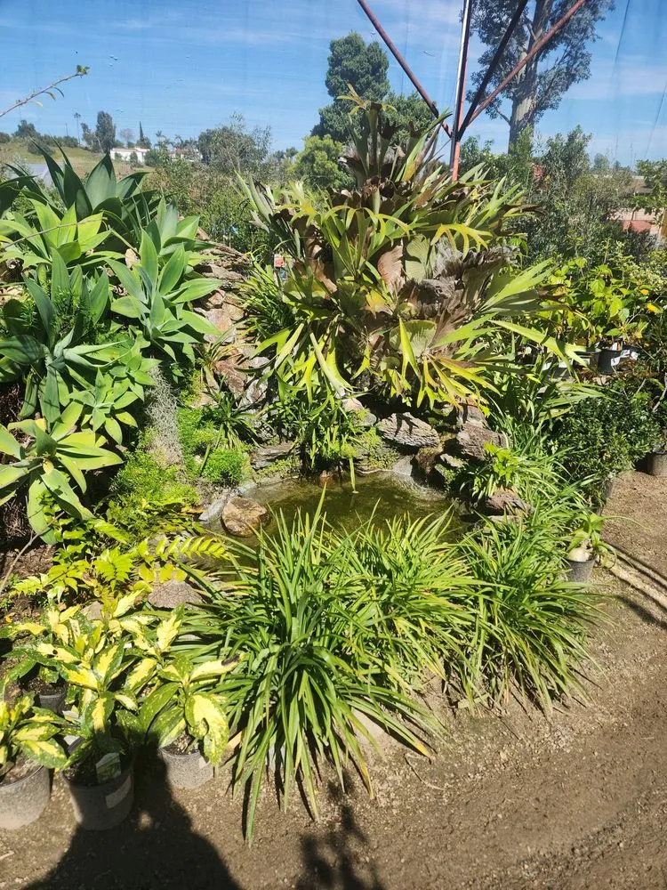 Professional residential landscaping experts serving Escondido, CA - El Plantio Nursery & Landscaping