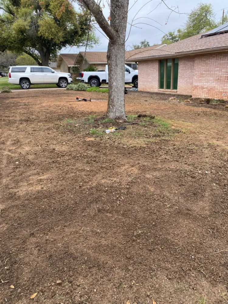 Expert yard cleanup service with custom design in Austin, TX by El Quetzal Lawn & Landscaping