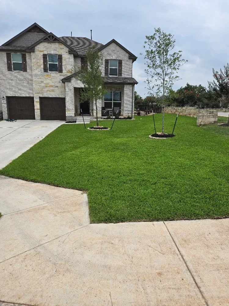 Custom yard maintenance experts serving Austin, TX - El Quetzal Lawn & Landscaping