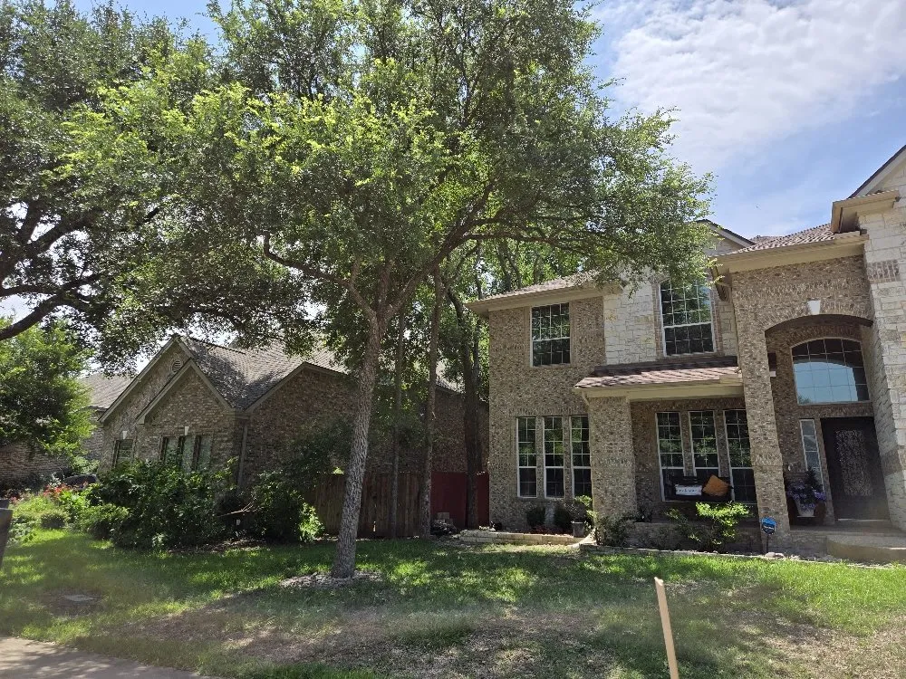 Expert yard cleanup service in Austin, TX by El Quetzal Lawn & Landscaping