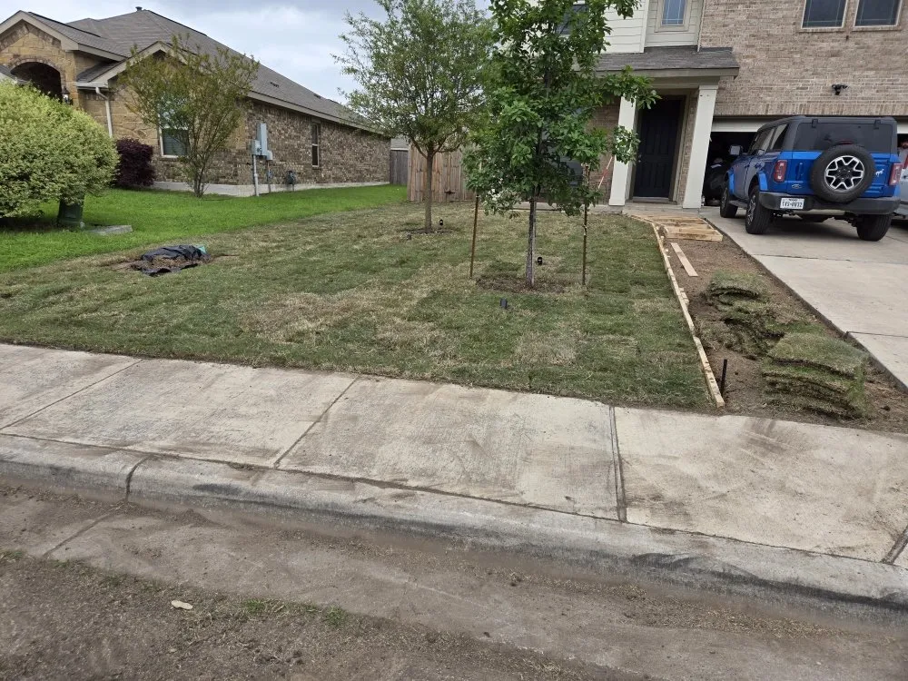 Local yard cleanup service in Austin, TX - El Quetzal Lawn & Landscaping