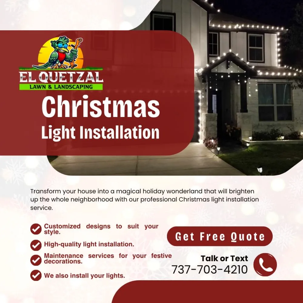 Professional landscape installation for residential properties in Austin, TX by El Quetzal Lawn & Landscaping