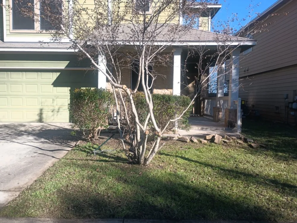 Expert landscape design in Austin, TX by El Quetzal Lawn & Landscaping