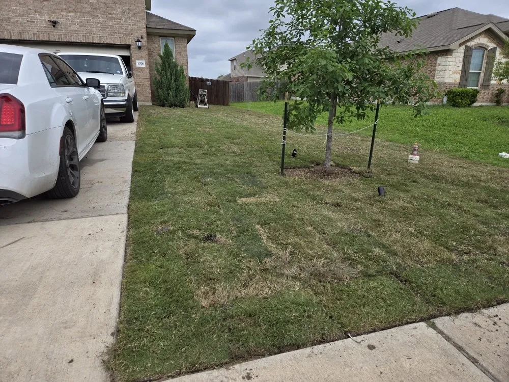 Custom landscaping services near you across Austin, TX - El Quetzal Lawn & Landscaping