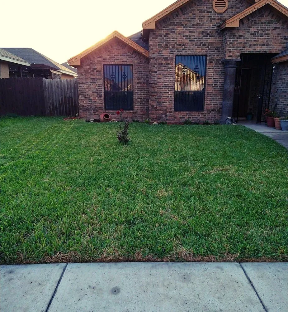 Custom yard cleanup service in Mission, TX by El Rafa Lawn Care
