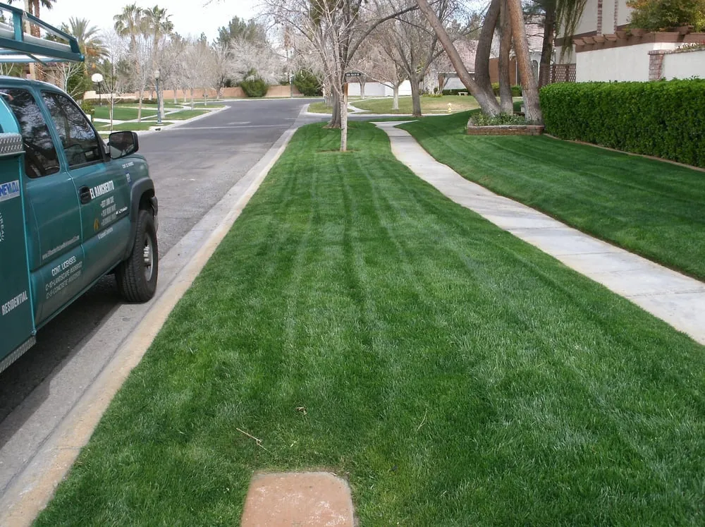 Affordable yard maintenance in Las Vegas, NV by El Rancherito Lawn Maintenance