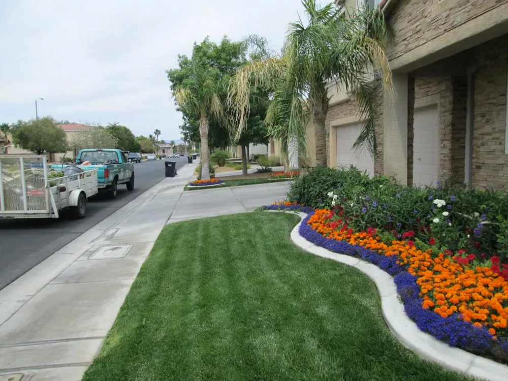 Local yard cleanup service in Las Vegas, NV by El Rancherito Lawn Maintenance