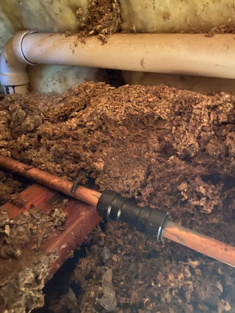 Professional lawn care service near you across Bakersfield, CA - El Rancho Perez