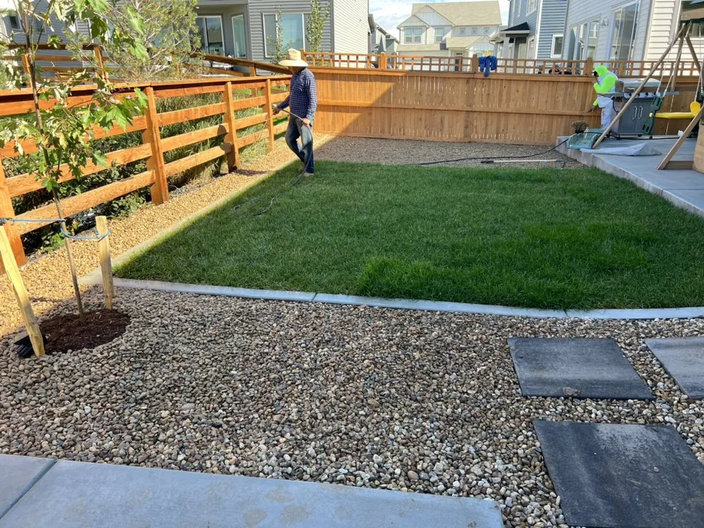 Professional lawn care service for homes in Commerce City, CO by El Rey Construction