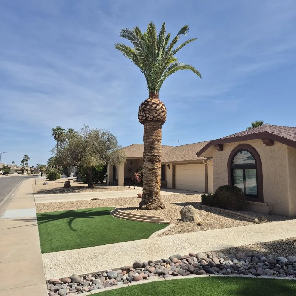 Expert outdoor landscaping for year-round maintenance in El Mirage, AZ by El Rincon Gardening