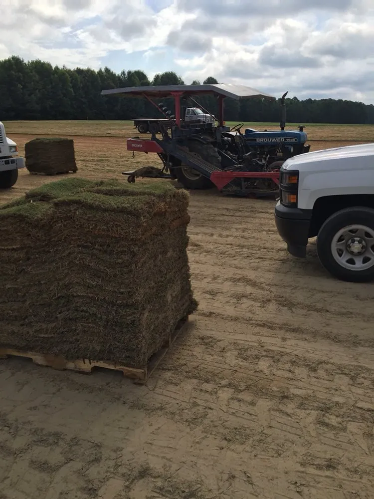 Reliable landscape design experts serving Clayton, NC - El Rod Landscape