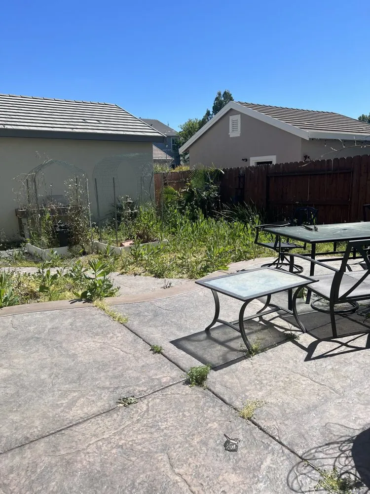 Trusted yard cleanup service for outdoor upgrades across Roseville, CA - E&L