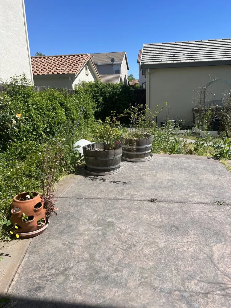 Top-rated landscape installation in Roseville, CA by E&L