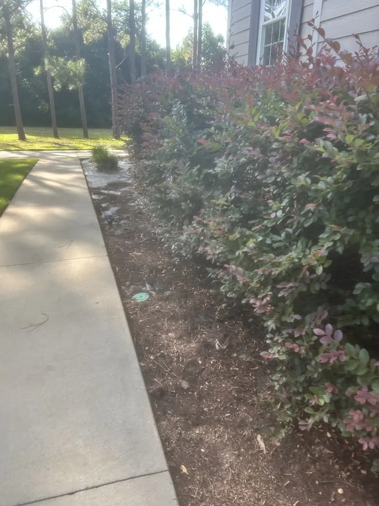 Affordable landscape installation in Albany, GA by El Ruizeñor