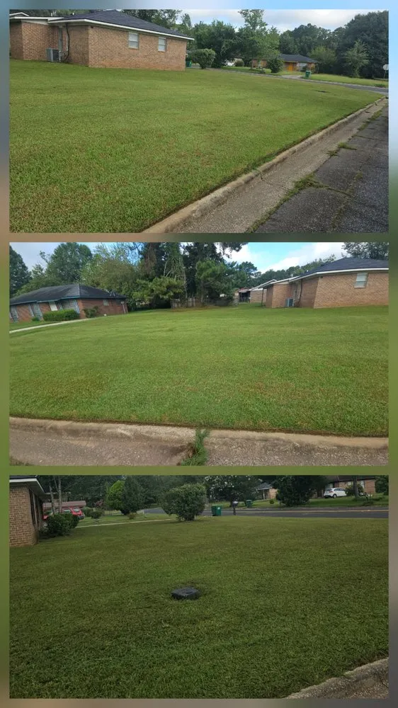 Custom landscape design experts serving Albany, GA - El Ruizeñor