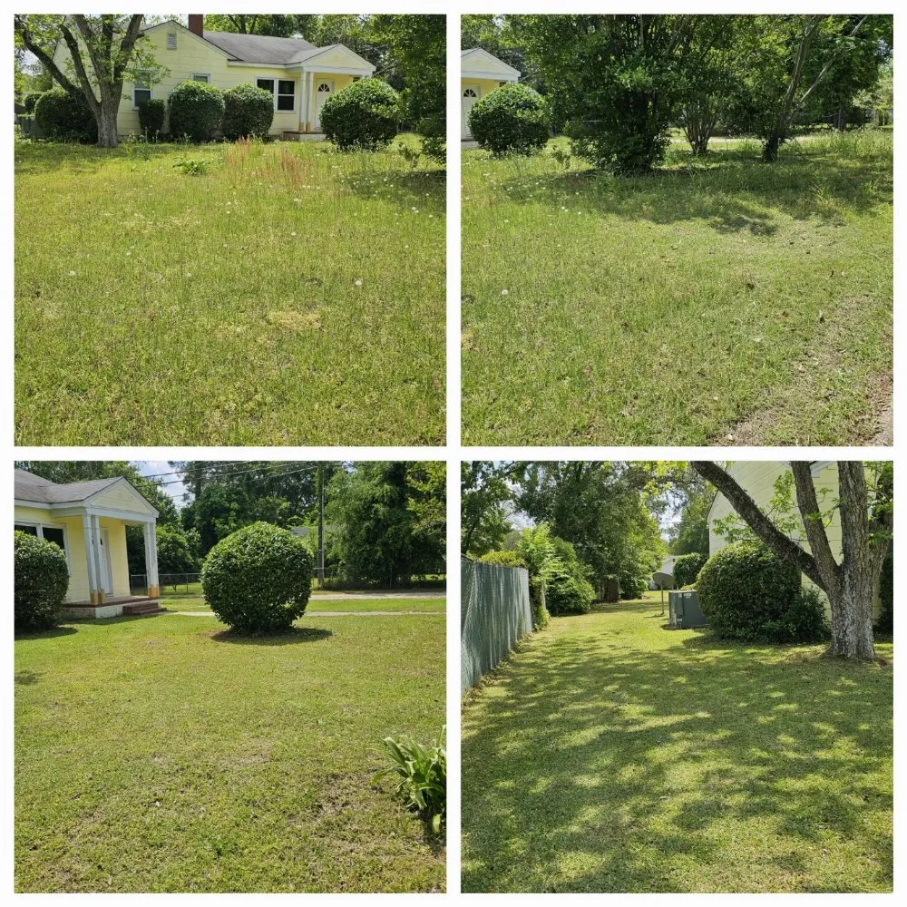 Expert landscape design experts serving Albany, GA - El Ruizeñor