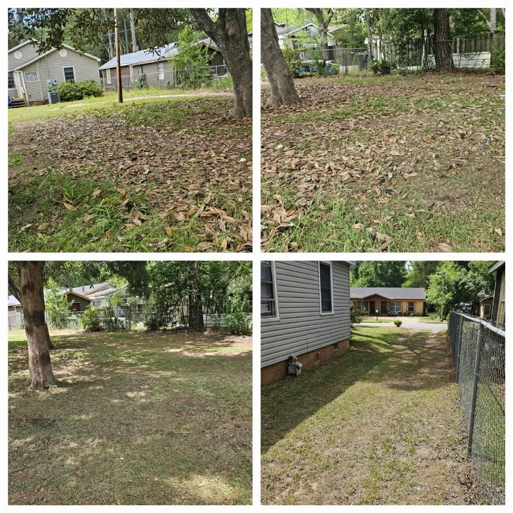 Top-rated landscape installation near you across Albany, GA - El Ruizeñor