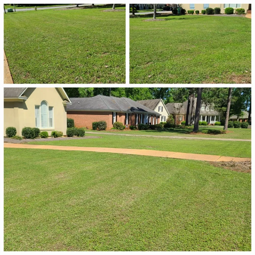 Local landscape installation for year-round maintenance across Albany, GA - El Ruizeñor