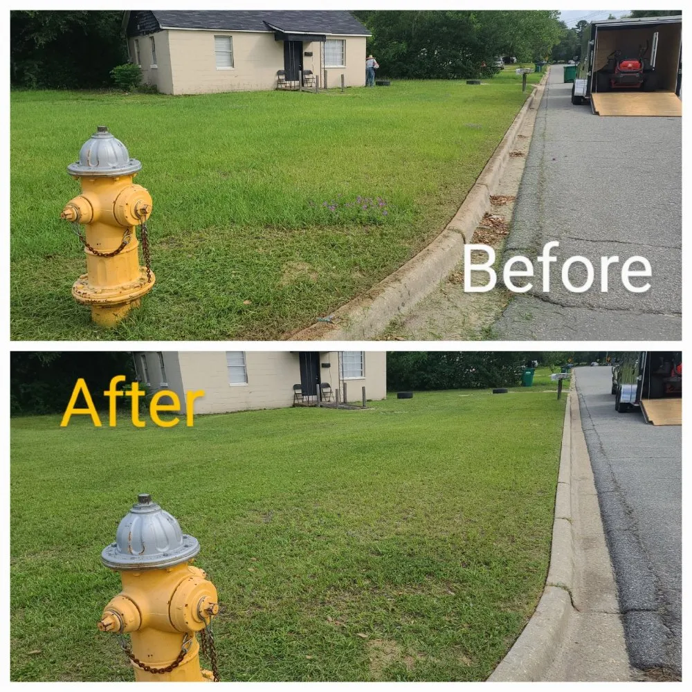 Affordable yard maintenance with custom design in Albany, GA by El Ruizeñor