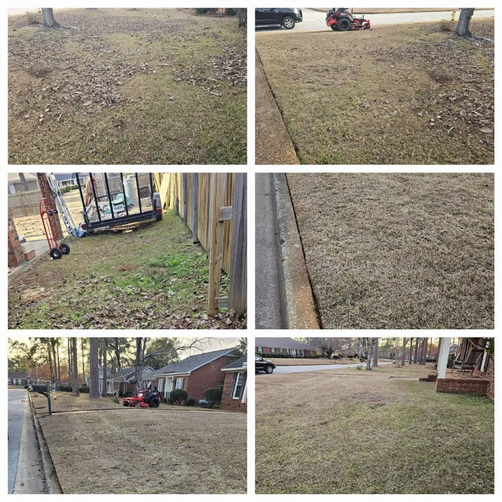 Custom yard cleanup service in Albany, GA - El Ruizeñor