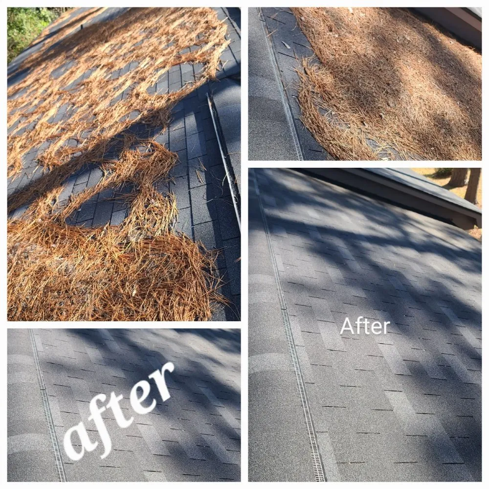 Trusted landscape installation in Albany, GA - El Ruizeñor