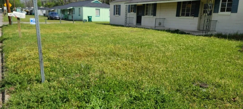 Local residential landscaping experts serving Albany, GA - El Ruizeñor