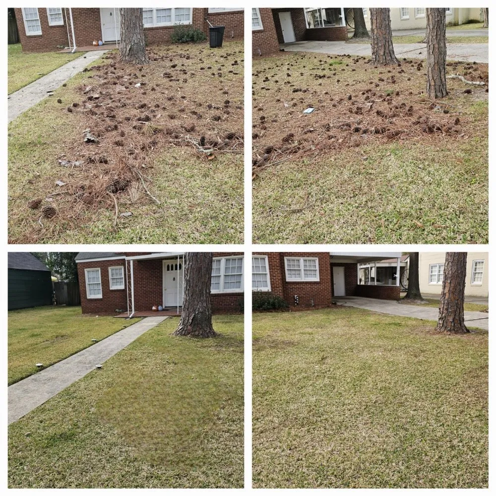 Custom lawn mowing service in Albany, GA by El Ruizeñor