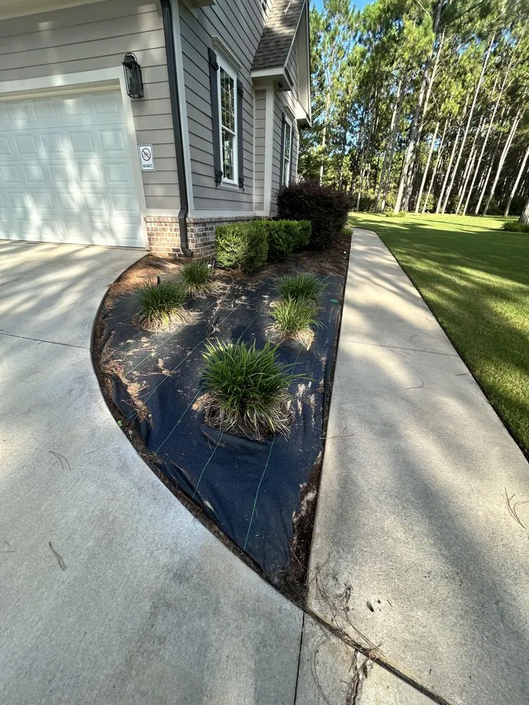 Professional lawn mowing service with custom design across Albany, GA - El Ruizeñor