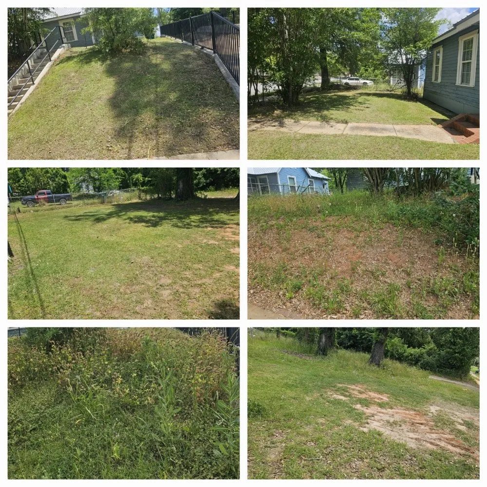 Reliable yard maintenance experts serving Albany, GA - El Ruizeñor