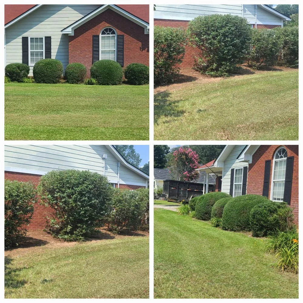 Custom outdoor landscaping in Albany, GA - El Ruizeñor