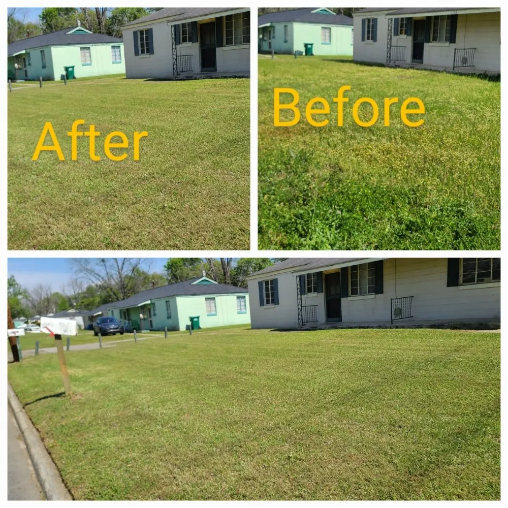 Trusted outdoor landscaping experts serving Albany, GA - El Ruizeñor