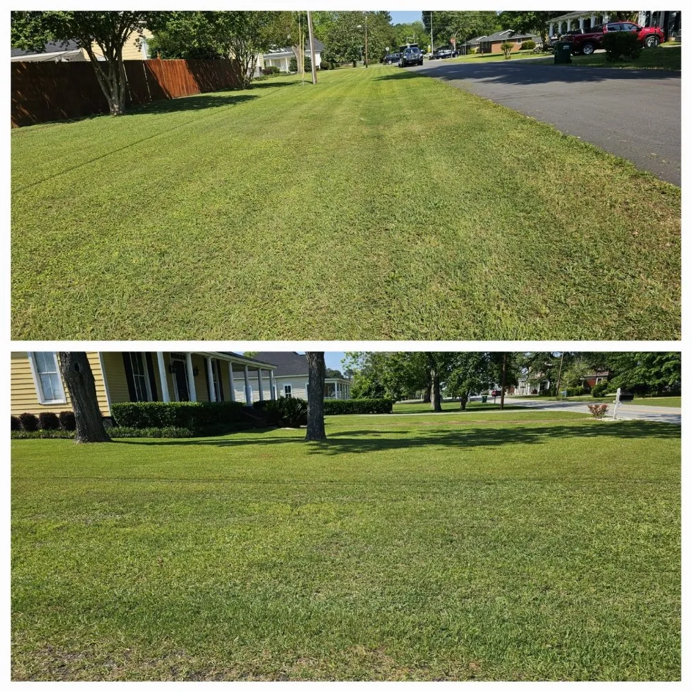 Affordable residential landscaping for residential properties in Albany, GA by El Ruizeñor