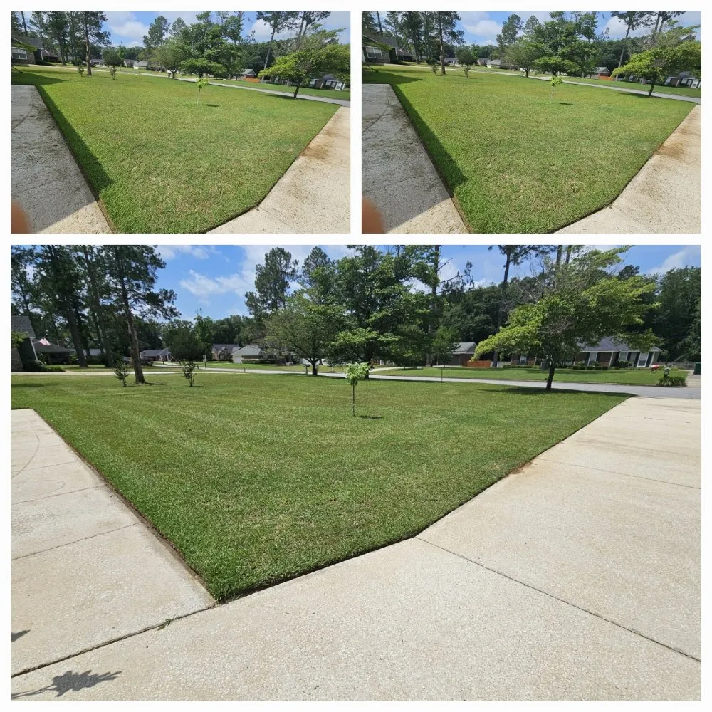 Affordable residential landscaping experts serving Albany, GA - El Ruizeñor