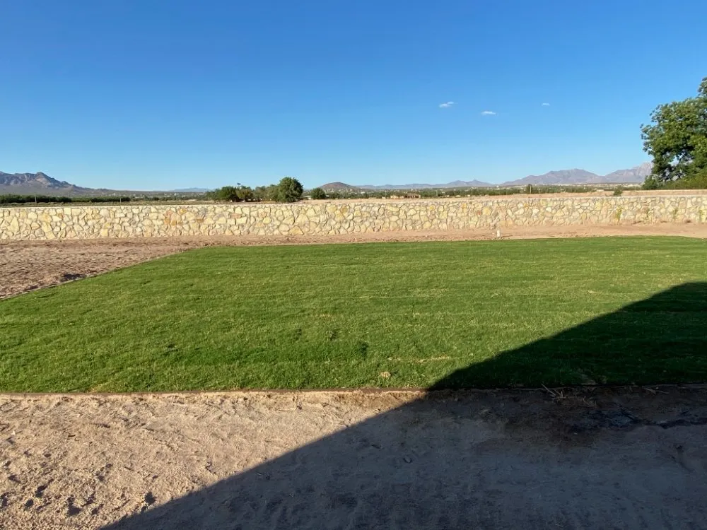 Local residential landscaping for outdoor upgrades in Las Cruces, NM by El senor landscaping