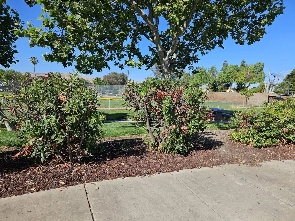 Reliable landscape design in Dublin, CA by E.L. Services