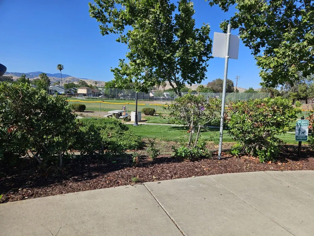 Expert yard cleanup service for outdoor upgrades in Dublin, CA by E.L. Services