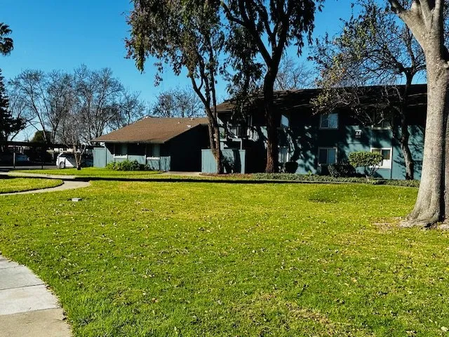 Top-rated residential landscaping near you in Dublin, CA by E.L. Services