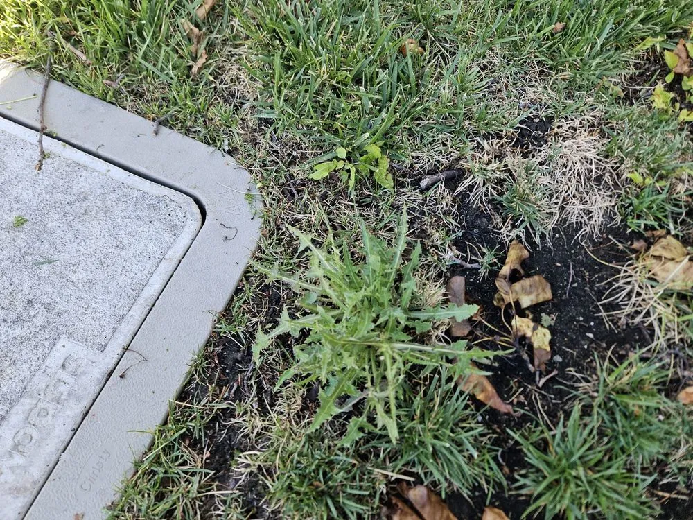 Expert landscape installation in Dublin, CA - E.L. Services