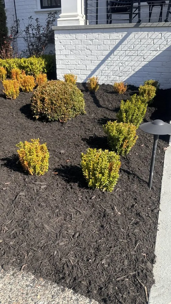 Expert lawn mowing service in Richmond, VA by El Tapatio Landscaping