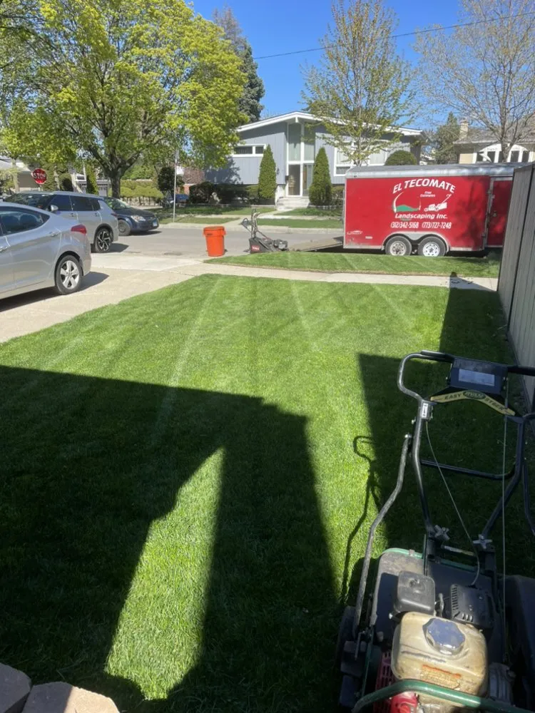 Local yard maintenance for year-round maintenance in Chicago, IL by El Tecomate Landscaping