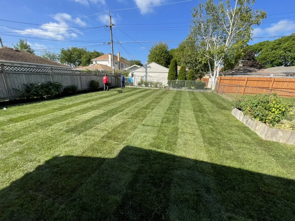 Expert yard maintenance experts serving Chicago, IL - El Tecomate Landscaping