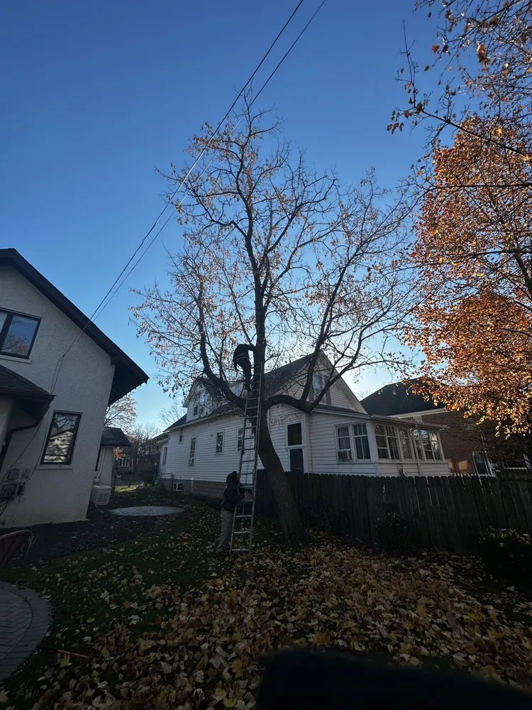 Custom residential landscaping in Chicago, IL - El Tecomate Landscaping