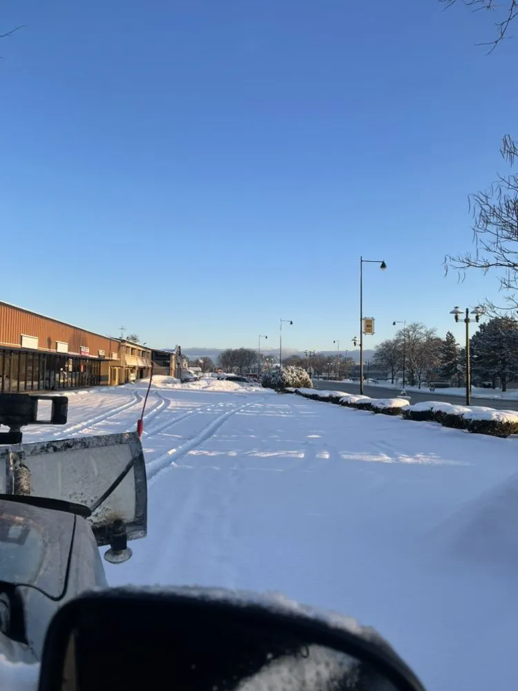 Affordable garden landscaping for year-round maintenance in Chicago, IL by El Tecomate Landscaping