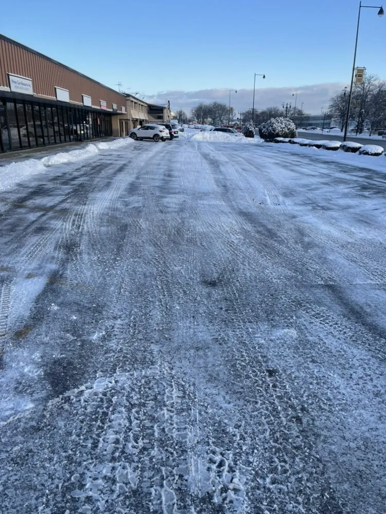 Professional garden landscaping for outdoor upgrades in Chicago, IL by El Tecomate Landscaping